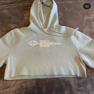 Baby blue champion hoodie crop top